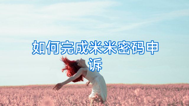 如何完成米米密码申诉
