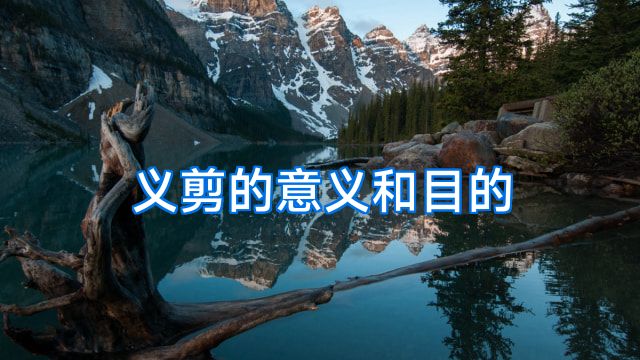 义剪的意义和目的