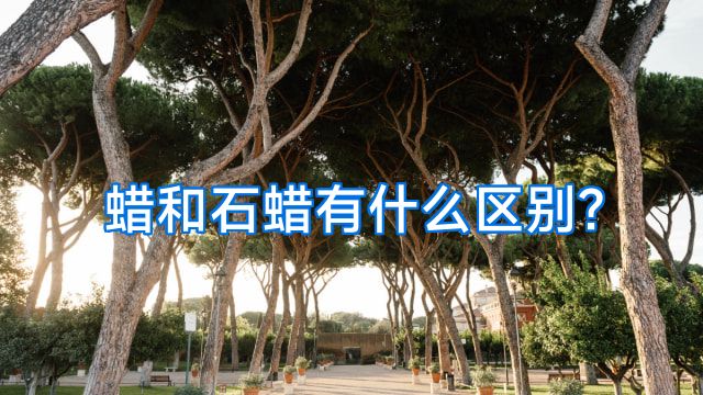 蜡和石蜡有什么区别?