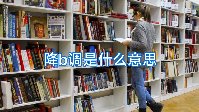 降b调是什么意思