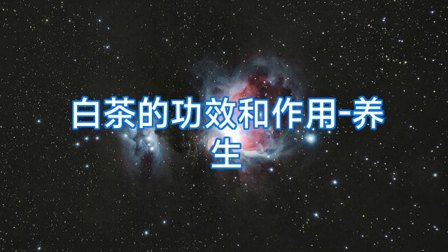 白茶的功效和作用-养生