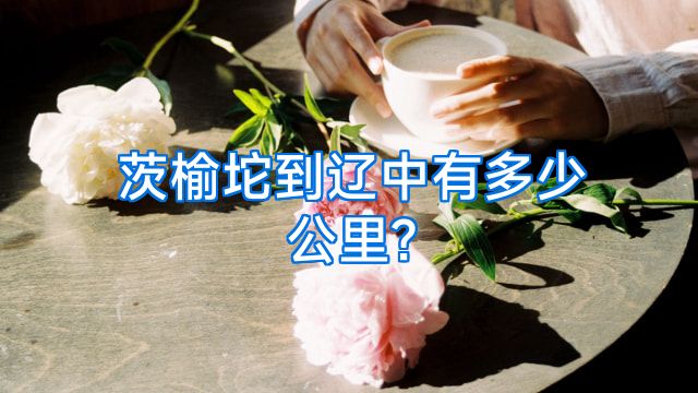 茨榆坨到辽中有多少公里?