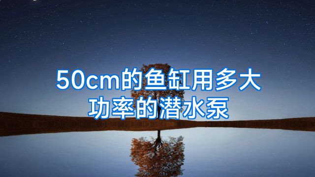 50cm的鱼缸用多大功率的潜水泵