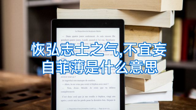 恢弘志士之气,不宜妄自菲薄是什么意思