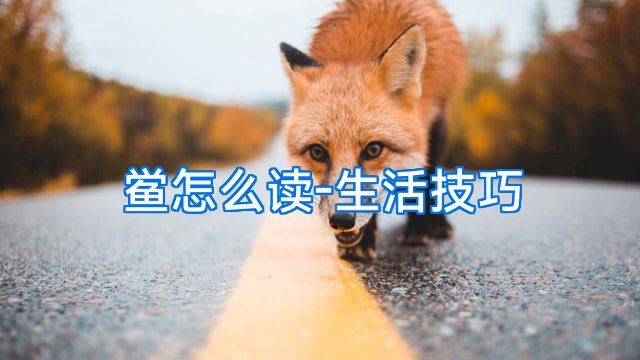 鲎怎么读-生活技巧
