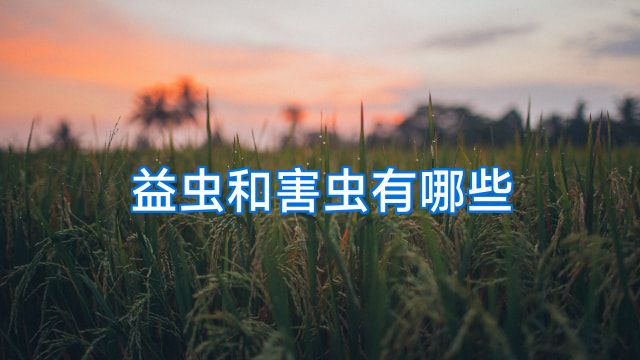 益虫和害虫有哪些