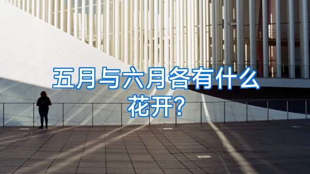 五月与六月各有什么花开?