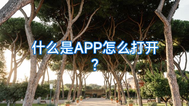 什么是APP怎么打开?
