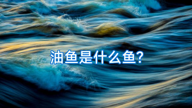 油鱼是什么鱼?