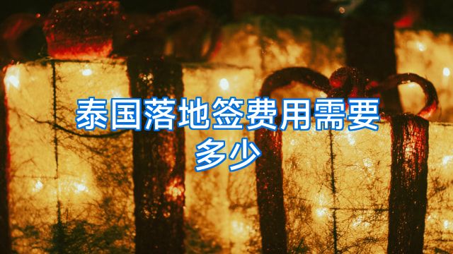 泰国落地签费用需要多少