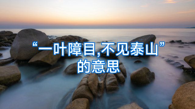 “一叶障目,不见泰山”的意思