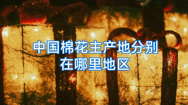 中国棉花主产地分别在哪里地区