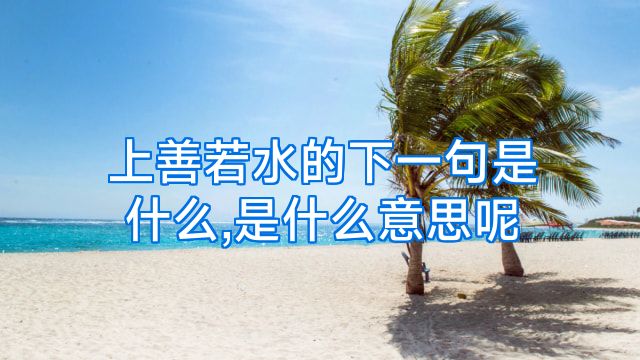 上善若水的下一句是什么,是什么意思呢
