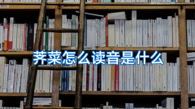 荠菜怎么读音是什么