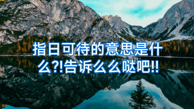 指日可待的意思是什么?!告诉么么哒吧!!