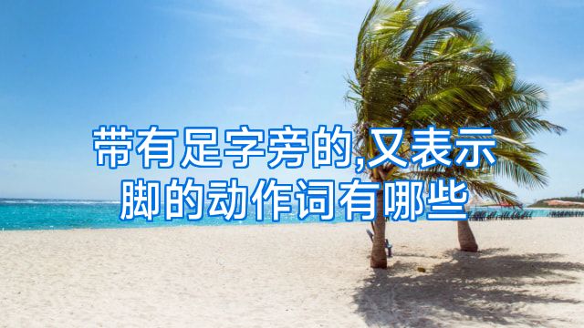 带有足字旁的,又表示脚的动作词有哪些