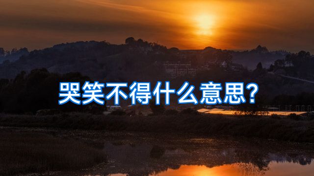 哭笑不得什么意思?