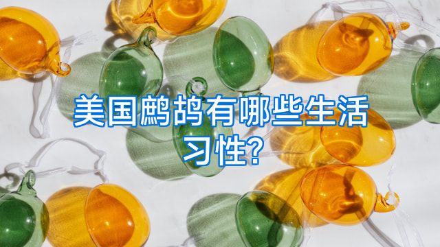 美国鹧鸪有哪些生活习性?