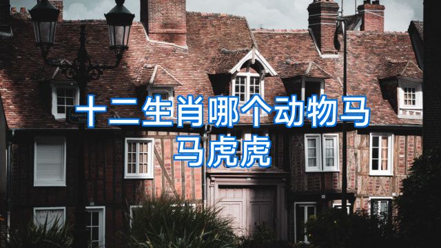 十二生肖哪个动物马马虎虎