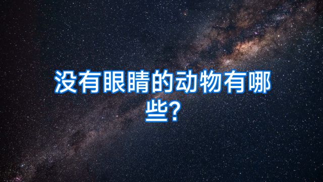 没有眼睛的动物有哪些?