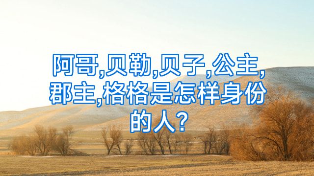 阿哥,贝勒,贝子,公主,郡主,格格是怎样身份的人?