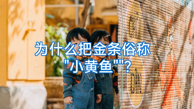 为什么把金条俗称