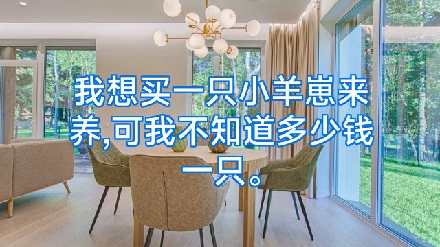 我想买一只小羊崽来养,可我不知道多少钱一只。