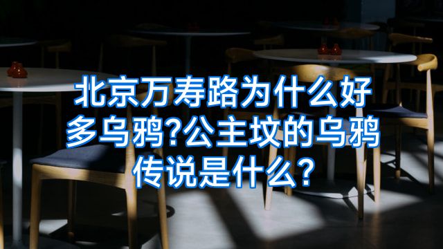 北京万寿路为什么好多乌鸦?公主坟的乌鸦传说是什么?