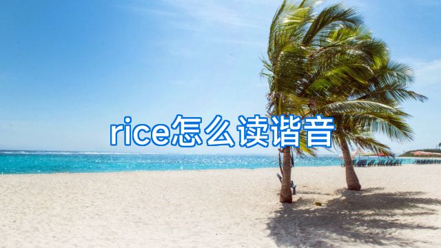 rice怎么读谐音