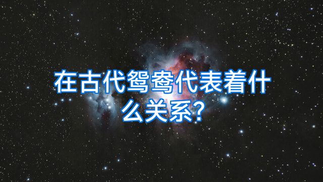 在古代鸳鸯代表着什么关系?