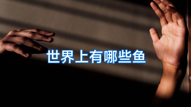 世界上有哪些鱼