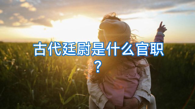 古代廷尉是什么官职?