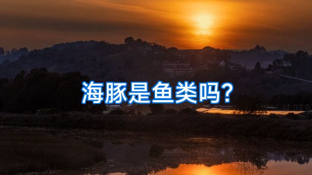 海豚是鱼类吗?