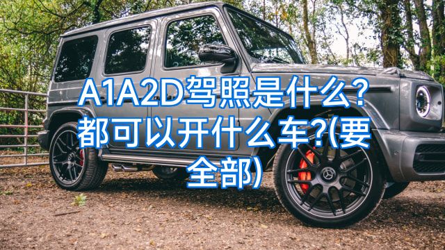 A1A2D驾照是什么?都可以开什么车?(要全部)