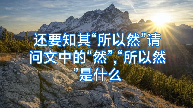 还要知其“所以然”请问文中的“然”,“所以然”是什么