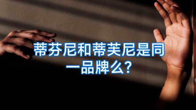 蒂芬尼和蒂芙尼是同一品牌么?