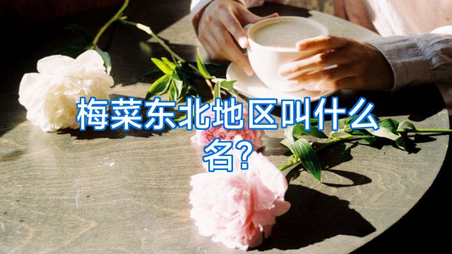 梅菜东北地区叫什么名?