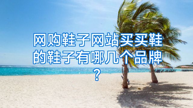 网购鞋子网站买买鞋的鞋子有哪几个品牌?