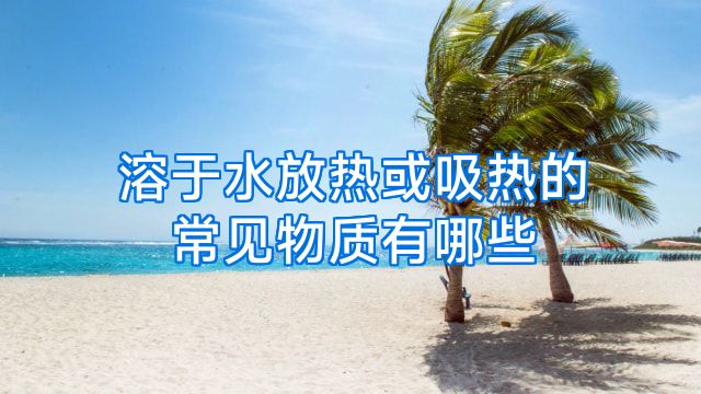 溶于水放热或吸热的常见物质有哪些