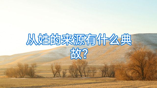 从姓的来源有什么典故?