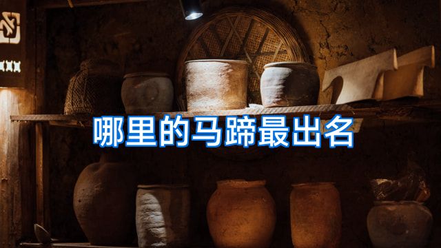 哪里的马蹄最出名