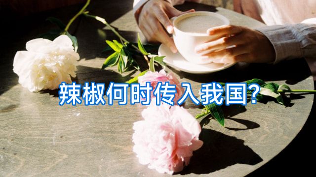 辣椒何时传入我国?