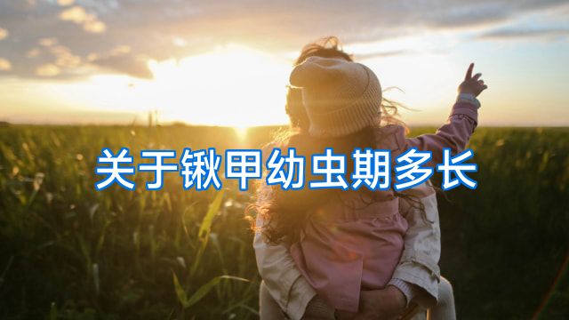 关于锹甲幼虫期多长