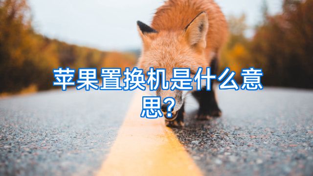 苹果置换机是什么意思?