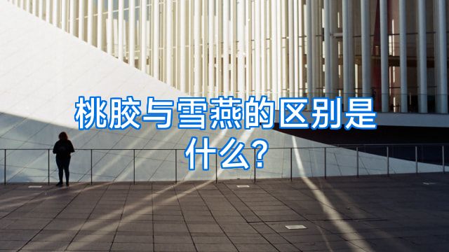 桃胶与雪燕的区别是什么?