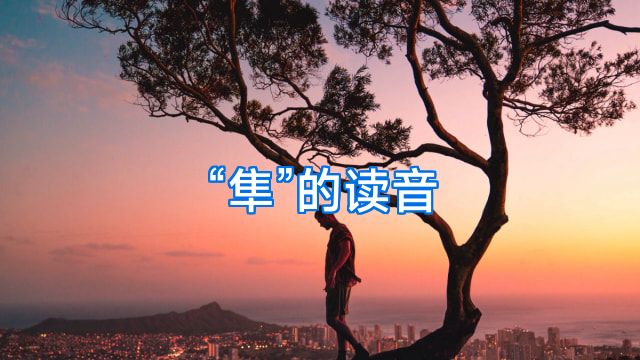 “隼”的读音