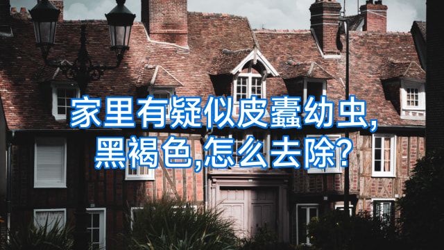 家里有疑似皮蠹幼虫,黑褐色,怎么去除?