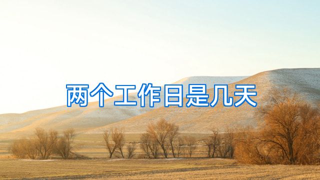 两个工作日是几天