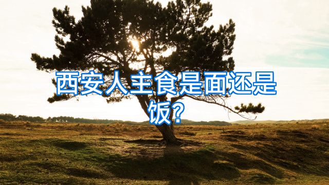 西安人主食是面还是饭?