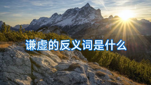 谦虚的反义词是什么